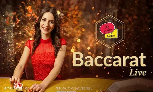 Daily rewards and cashback offer